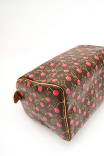 Louis Vuitton x Takashi Murakami Cherry Speedy 25 Limited Edition 2005
