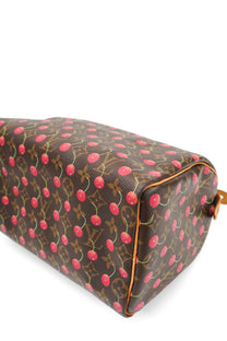 Louis Vuitton x Takashi Murakami Cherry Speedy 25 Limited Edition 2005